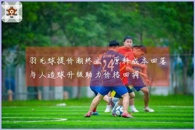 羽毛球提价潮终止，原料成本回落与人造球升级助力价格回调