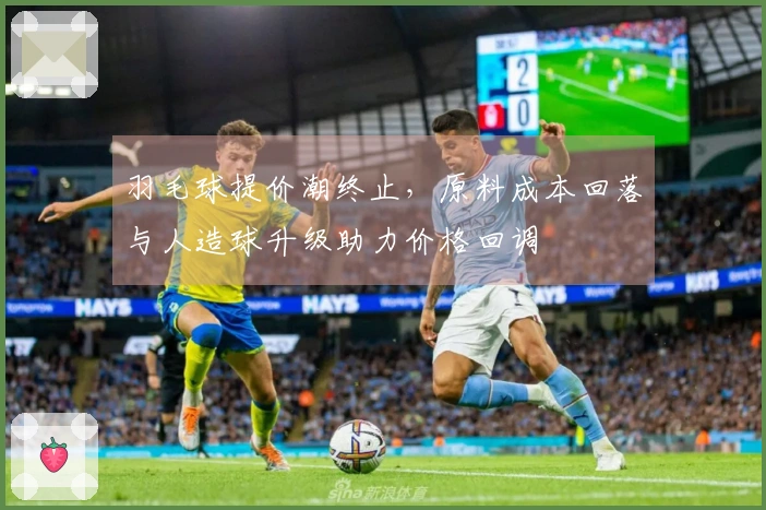 羽毛球提价潮终止，原料成本回落与人造球升级助力价格回调