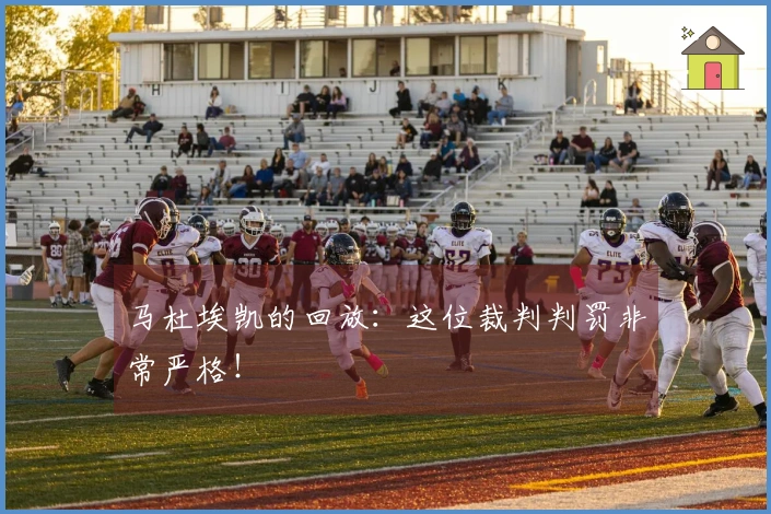 马杜埃凯的回放：这位裁判判罚非常严格！